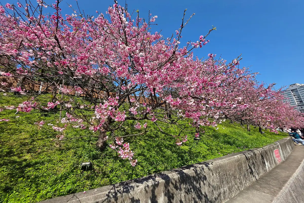 LOHAS Park, 타이베이